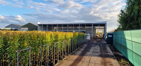 Fase 9 van de nieuwbouw van schuur Dolder in Boskoop