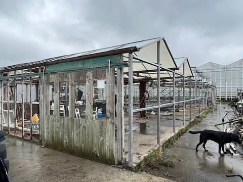 Fase 31 van de renovatie van kasschuur Indoor Moestuintjes