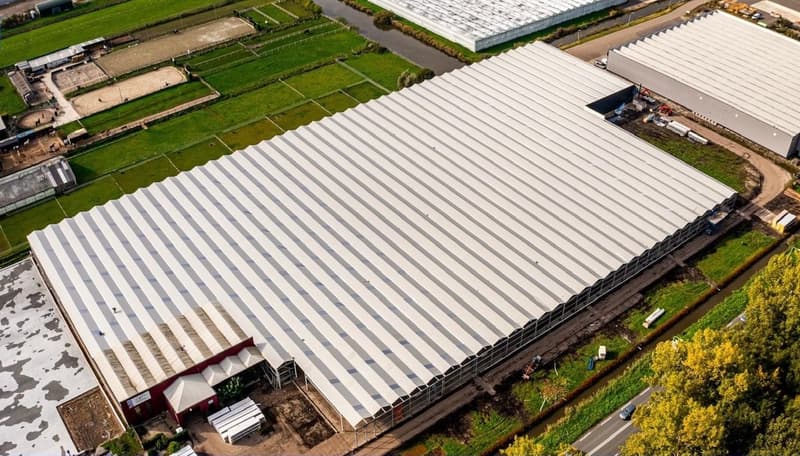 Na de renovatie: het kasdek in Aalsmeer