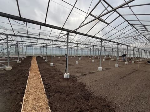 Fase 36 van de renovatie van kasschuur Indoor Moestuintjes