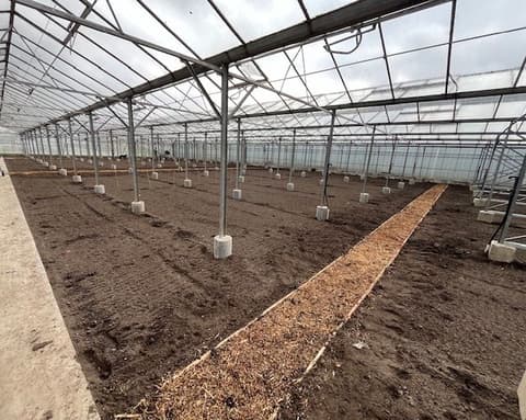 Fase 38 van de renovatie van kasschuur Indoor Moestuintjes
