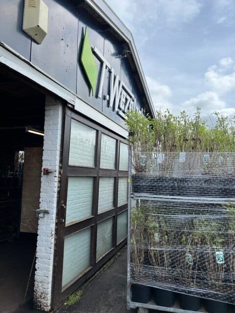 Fase 18 van de renovatie van bedrijfspand Wezelenburg in Boskoop
