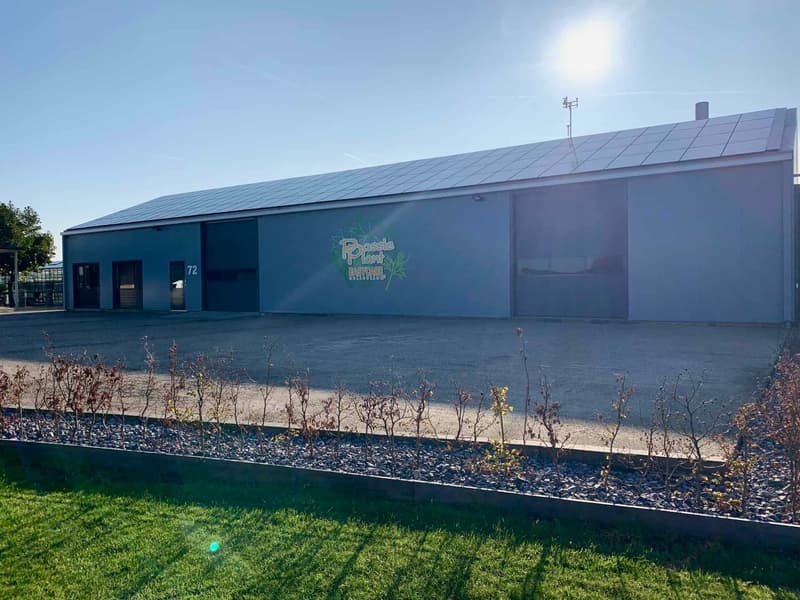 Fase 11 van de asbestsanering van Passie Plant in Nieuwerkerk aan den IJssel