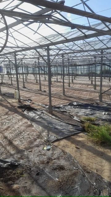 Fase 27 van de renovatie van kasschuur Indoor Moestuintjes