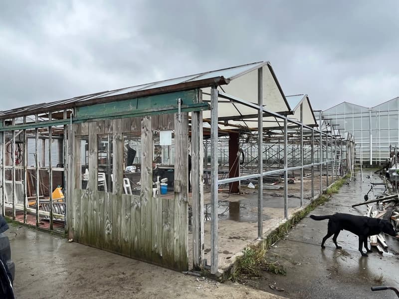Voor de renovatie: kasschuur Indoor Moestuintjes