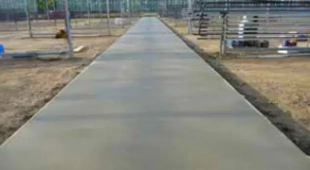 Betonwerk van het terrein