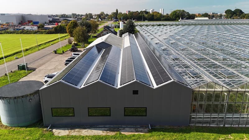 Na de renovatie: bedrijfspand Gerberakwekerij Bakkeren in Zevenhuizen